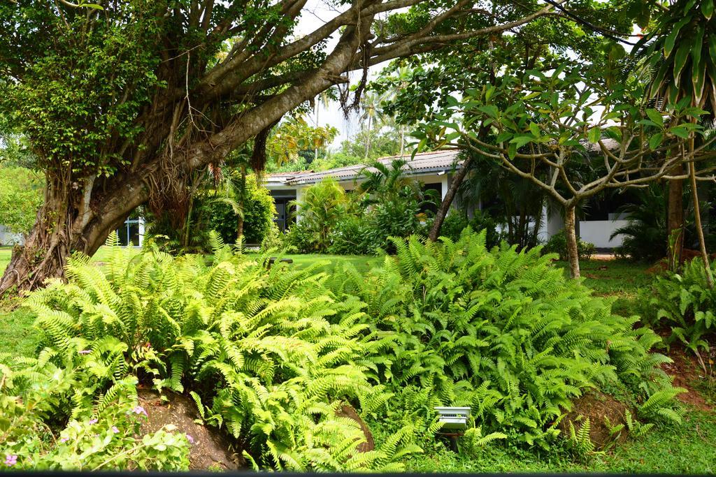 River View Banquet&Resort Wadduwa Extérieur photo